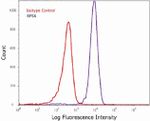 S6 Antibody in Flow Cytometry (Flow)