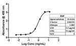 EGF Antibody in ELISA (ELISA)