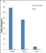 FOXA2 Antibody in ChIP Assay (ChIP)