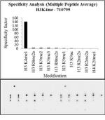 H3K4me1 Antibody