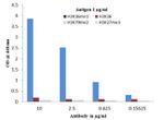 H3K36me1 Antibody in ELISA (ELISA)