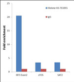 Histone H3 Antibody in ChIP Assay (ChIP)