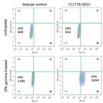 IDO Antibody in Flow Cytometry (Flow)