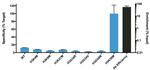 H3.3 K36M oncohistone mutant Antibody in ChIP Assay (ChIP)