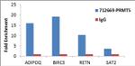 PRMT5 Antibody in ChIP Assay (ChIP)