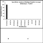 H3K36me1 Antibody