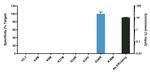 H3.3 G34W oncohistone mutant Antibody