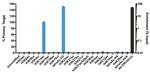 H3K14ac Antibody