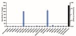 H3K18ac Antibody