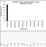 H4K20me1 Antibody