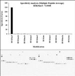 H3K9me3 Antibody in Peptide array (ARRAY)