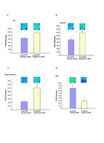 METAP2 Antibody in Immunocytochemistry (ICC/IF)