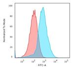 GRP94/HSP90B1 Antibody in Flow Cytometry (Flow)