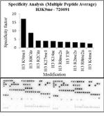 H3K9me1 Antibody