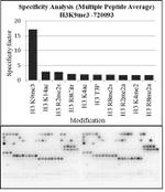 H3K9me3 Antibody in Peptide array (ARRAY)