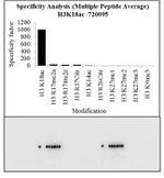 H3K18ac Antibody in Peptide array (ARRAY)