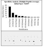 H3K27me1 Antibody