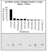 Phospho-Histone H4 (Ser1) Antibody in Peptide array (ARRAY)