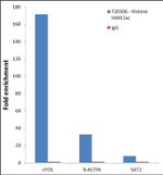 H4K12ac Antibody