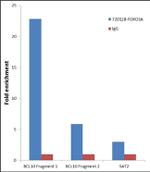 FOXO3A Antibody in ChIP Assay (ChIP)