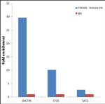 Histone H4 Antibody in ChIP Assay (ChIP)