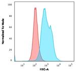 Thymidylate Synthase Antibody in Flow Cytometry (Flow)