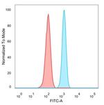 UBE2B Antibody in Flow Cytometry (Flow)