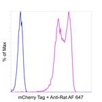 mCherry Antibody in Flow Cytometry (Flow)