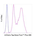 mCherry Antibody in Flow Cytometry (Flow)