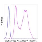 mCherry Antibody in Flow Cytometry (Flow)