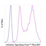 mCherry Antibody in Flow Cytometry (Flow)