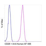 CD28 Antibody in Flow Cytometry (Flow)