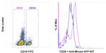 CD28 Antibody