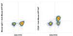 CD28 Antibody in Flow Cytometry (Flow)