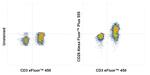 CD28 Antibody