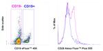 CD28 Antibody in Flow Cytometry (Flow)