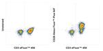 CD28 Antibody in Flow Cytometry (Flow)