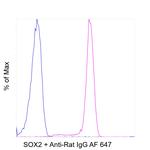 SOX2 Antibody in Flow Cytometry (Flow)