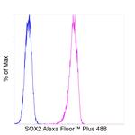 SOX2 Antibody in Flow Cytometry (Flow)