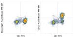 CD127 Antibody in Flow Cytometry (Flow)