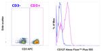 CD127 Antibody