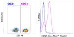 CD127 Antibody