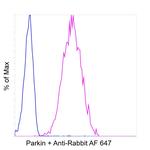 Parkin Antibody in Flow Cytometry (Flow)