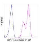 OCT4 Antibody in Flow Cytometry (Flow)