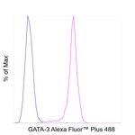 GATA-3 Antibody