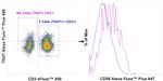 CD56 (NCAM) Antibody