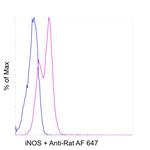 iNOS Antibody in Flow Cytometry (Flow)