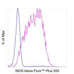 iNOS Antibody in Flow Cytometry (Flow)