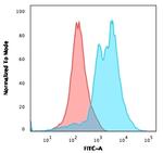 ZAP70 (Chronic Lymphocytic Leukemia Marker) Antibody in Flow Cytometry (Flow)