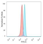 ZNF232 (Transcription Factor) Antibody in Flow Cytometry (Flow)